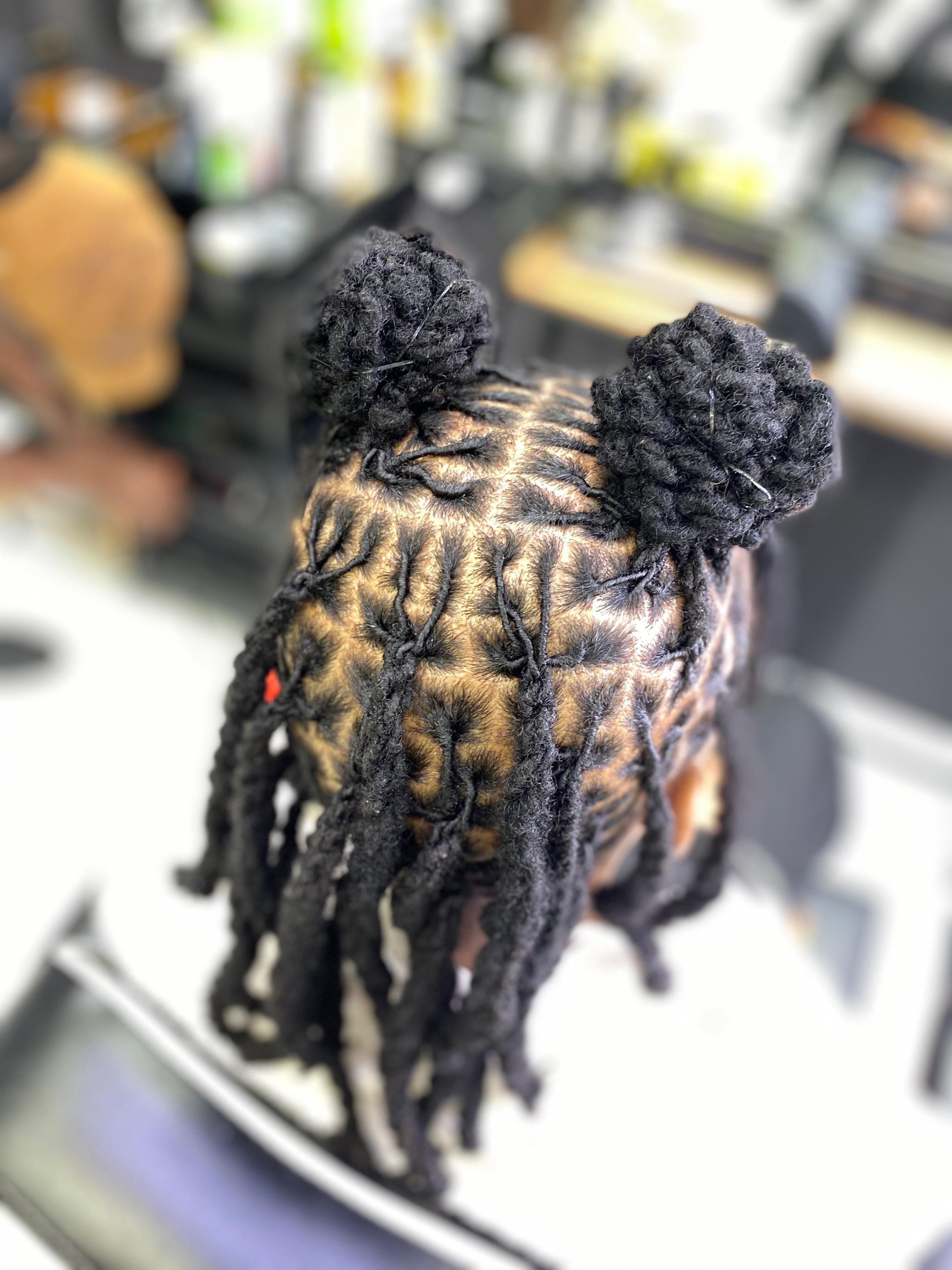 Locs Style 2